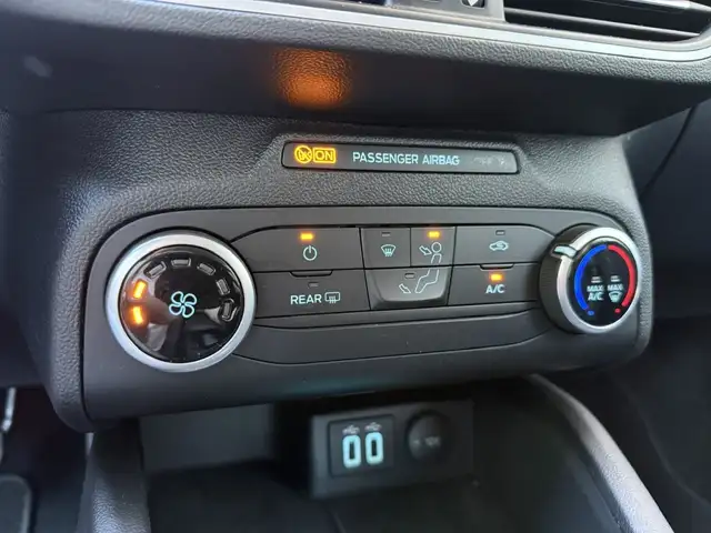 Ford Focus view 18