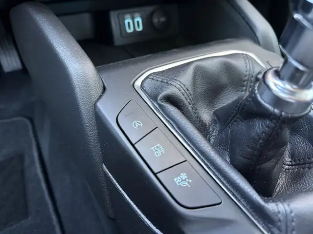 Ford Focus view 20