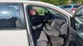 Volkswagen Touran Conceptline Weiß - thumbnail 9