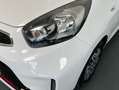 Kia Picanto 1.0 CVVT 66CV x-Tech Eco-D (Pack Urban) Blanco - thumbnail 16