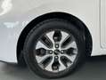 Kia Picanto 1.0 CVVT 66CV x-Tech Eco-D (Pack Urban) Blanco - thumbnail 13
