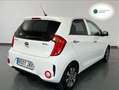 Kia Picanto 1.0 CVVT 66CV x-Tech Eco-D (Pack Urban) Blanco - thumbnail 4