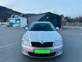 Skoda Octavia Octavia1,6 TDI CR DPF 4x4 Pickerl 11/2026 1BESITZ Grau - thumbnail 3