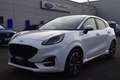 Ford Puma ST-LINE 1.0 Hybrid, AHK, Klima, Allwetter Weiß - thumbnail 1
