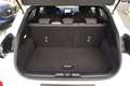 Ford Puma ST-LINE 1.0 Hybrid, AHK, Klima, Allwetter Weiß - thumbnail 11
