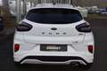 Ford Puma ST-LINE 1.0 Hybrid, AHK, Klima, Allwetter Weiß - thumbnail 3