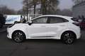 Ford Puma ST-LINE 1.0 Hybrid, AHK, Klima, Allwetter Weiß - thumbnail 7