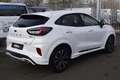 Ford Puma ST-LINE 1.0 Hybrid, AHK, Klima, Allwetter Weiß - thumbnail 2