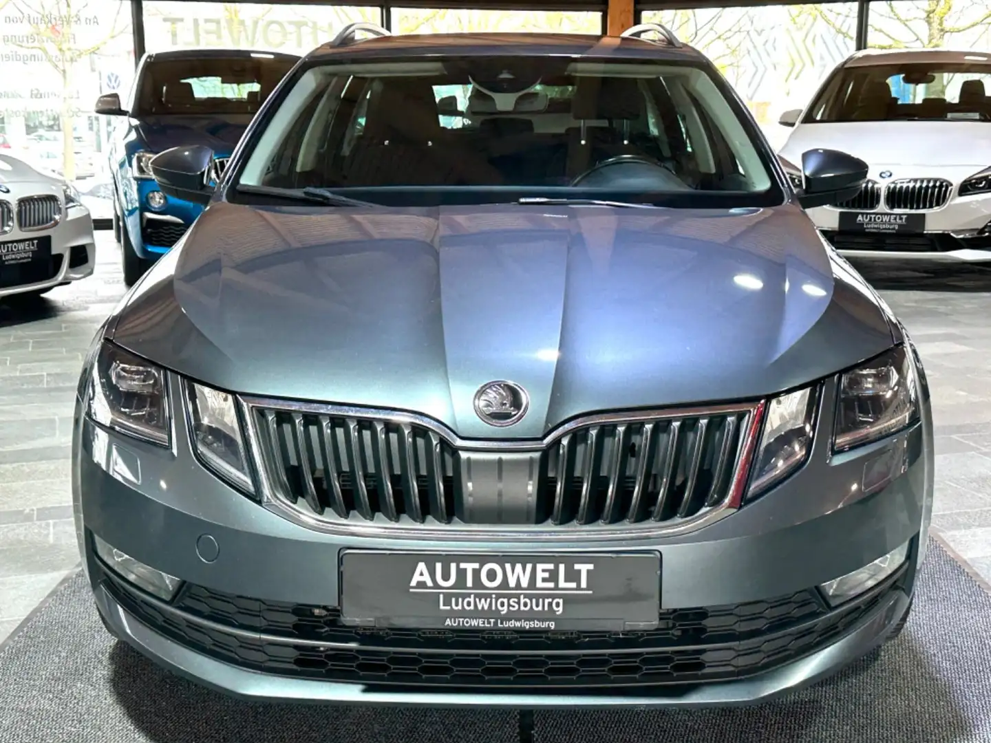 Skoda Octavia Combi Drive 4x4 DSG Grau - 2