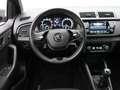 Skoda Fabia 1.0 TSI Ambition / Climate / Cruise / Carplay Grijs - thumbnail 13