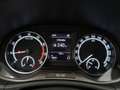 Skoda Fabia 1.0 TSI Ambition / Climate / Cruise / Carplay Grijs - thumbnail 14