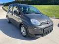 Fiat Panda Panda 1.0 FireFly S&S Hybrid City Life Grigio - thumbnail 2