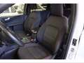 Ford Kuga 1.5 EcoBlue 120 CV aut. 2WD ST-Line Blanc - thumbnail 12
