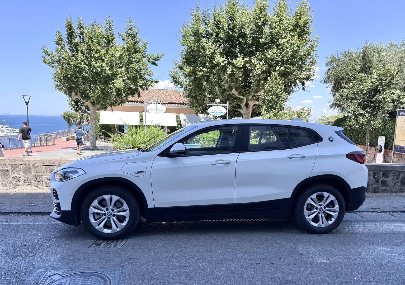 BMW X2 xdrive25e Business X auto - 2