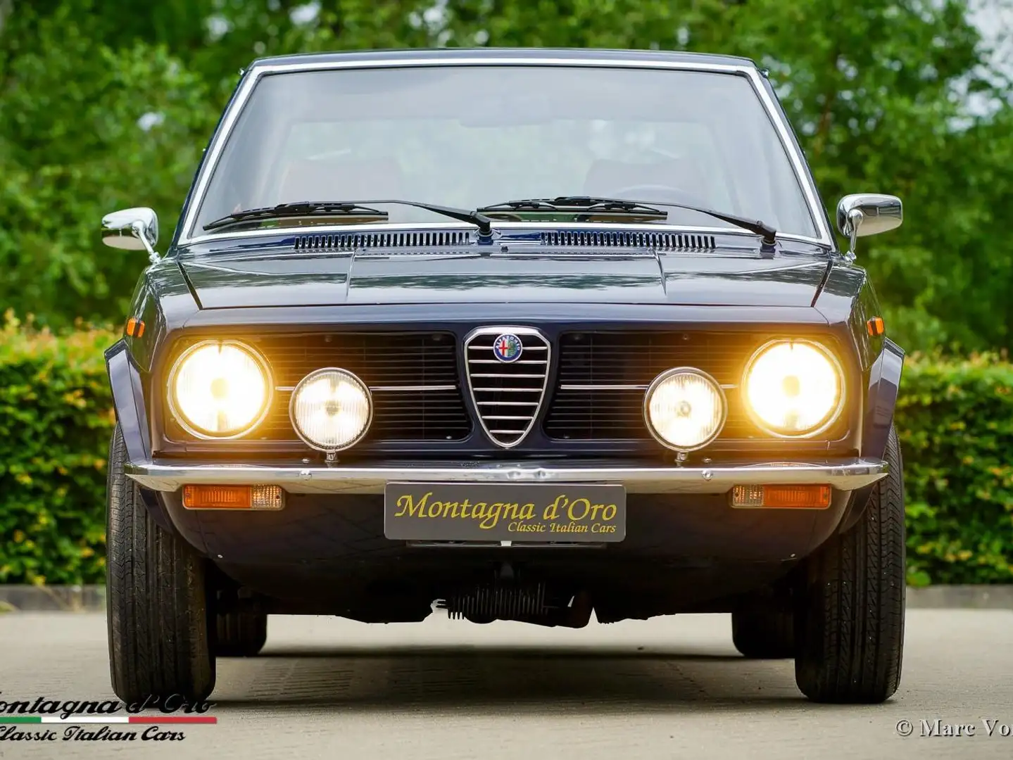 Alfa Romeo Alfetta 1600 Bleu - 1
