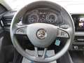 Skoda Kamiq Ambition 1.0TSI 85kW AHK LED beh. FS Blu/Azzurro - thumbnail 15