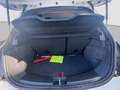 Lancia Ypsilon 1.0 firefly hybrid Platino s&s 70cv Bianco - thumbnail 15