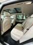 BMW X5 X5 Diesel xDrive25d Navi*Leder*LED*HUD*AHK* Bianco - thumbnail 10