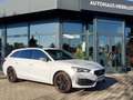 SEAT Leon Cupra Leon ST 1.4 TSI eHybrid 180 kW / 245 PS (GW- Weiß - thumbnail 19