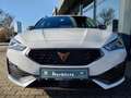 SEAT Leon Cupra Leon ST 1.4 TSI eHybrid 180 kW / 245 PS (GW- Weiß - thumbnail 13