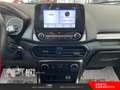 Ford EcoSport EcoSport 1.0 ecoboost Plus s&s 125cv Bianco - thumbnail 15