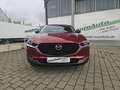 Mazda CX-30 Homura e-Skyactive-G 2.0 M Hybrid Rouge - thumbnail 8