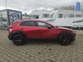 Mazda CX-30 Homura e-Skyactive-G 2.0 M Hybrid Rouge - thumbnail 6
