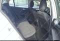 Ford Focus 1.5TDCI 120cv SW AUTOCARRO Anno 2021 Weiß - thumbnail 7