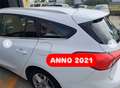 Ford Focus 1.5TDCI 120cv SW AUTOCARRO Anno 2021 Weiß - thumbnail 5