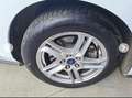 Ford Focus 1.5TDCI 120cv SW AUTOCARRO Anno 2021 Weiß - thumbnail 10