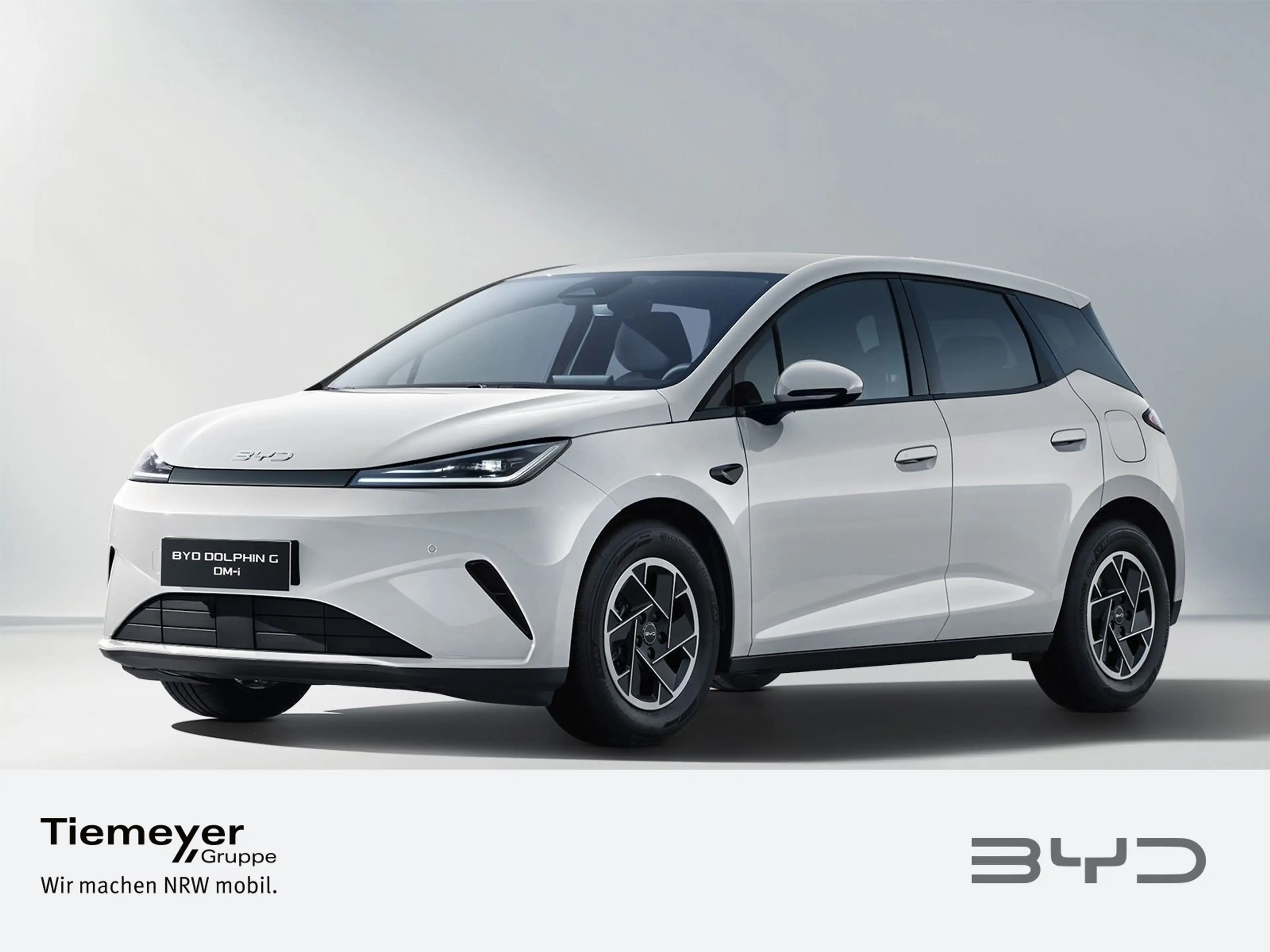 BYD Dolphin Dolphin G DM-i Boost — photo 2