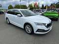 Skoda Octavia Combi 1.5 TSI ACT First Edition Panorama Weiß - thumbnail 13