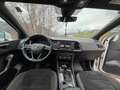 SEAT Ateca Ateca 2,0 Xcellence 4WD TDI DSG Xcellence Weiß - thumbnail 11