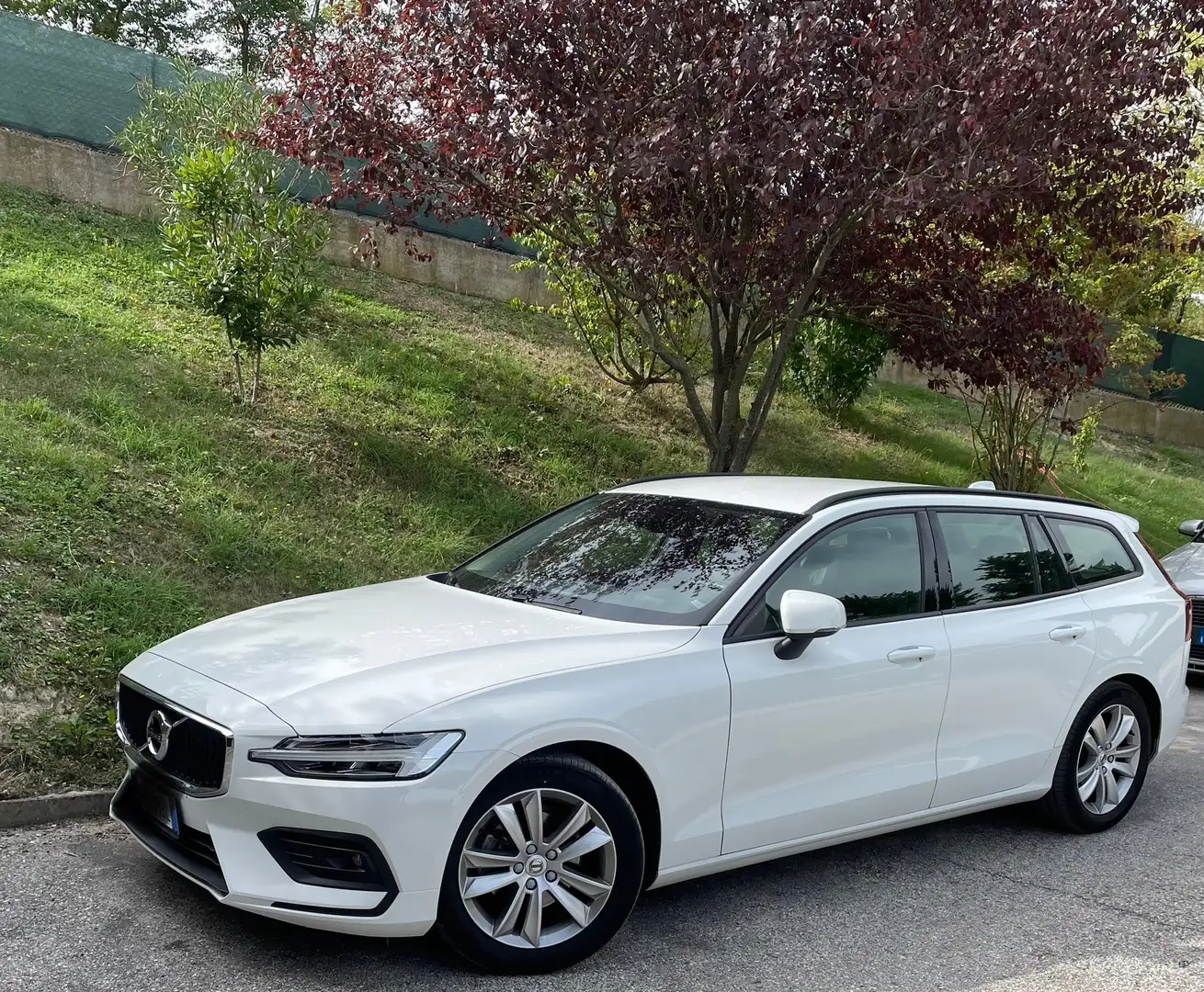 Volvo V60 2.0 d3 Business Plus geartronic - 2