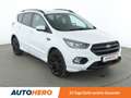 Ford Kuga 1.5 EcoBoost ST-Line Aut.*NAVI*ACC*CAM*SPUR* Weiß - thumbnail 8