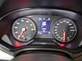 SEAT Ibiza 1.0 TSI Style Business Intense 95 PK | Navigatie P Rood - thumbnail 9