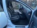 Dacia Sandero II Stepway Celebration Blanc - thumbnail 12
