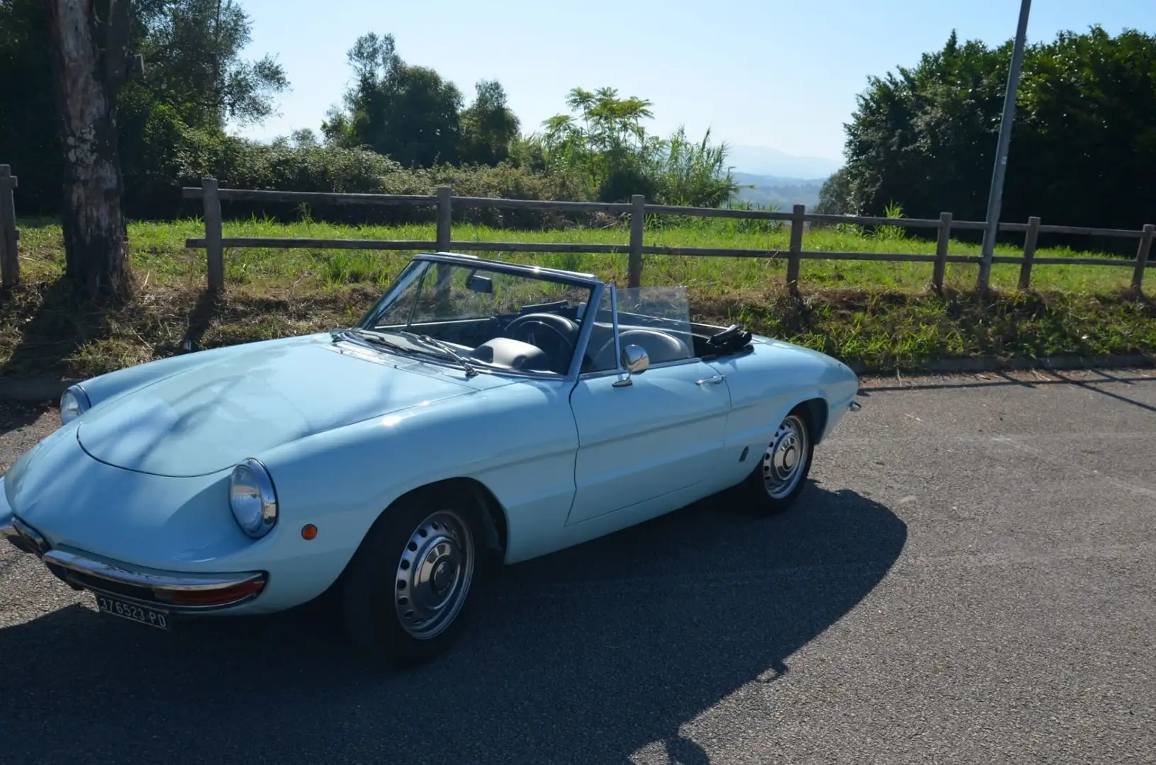 Alfa Romeo Spider Duetto osso di seppia 1.3 Blu/Azzurro - 1