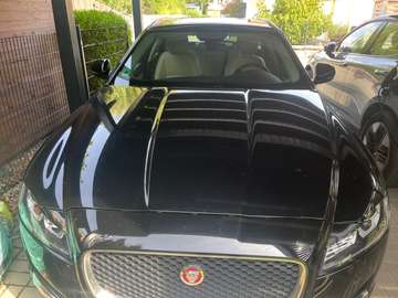 XF 25d AWD Sportbrake  Aut.Prestige