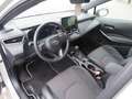 Toyota Corolla Premium Plus Grigio - thumbnail 13