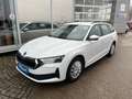 Skoda Octavia Essence TDI Weiß - thumbnail 1
