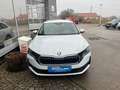 Skoda Octavia Essence TDI Weiß - thumbnail 2