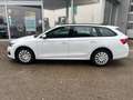Skoda Octavia Essence TDI Weiß - thumbnail 3