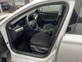 Skoda Octavia Essence TDI Weiß - thumbnail 11