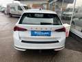 Skoda Octavia Essence TDI Weiß - thumbnail 5