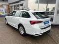 Skoda Octavia Essence TDI Weiß - thumbnail 4
