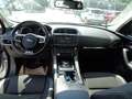 Jaguar F-Pace 30d AWD R-Sport Aut. neuer Motor R-Sport  MOTOR... Silber - thumbnail 17