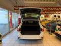 Skoda Superb Sportline 4x4 Weiß - thumbnail 9