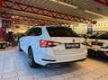 Skoda Superb Sportline 4x4 Weiß - thumbnail 6