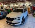Skoda Superb Sportline 4x4 Weiß - thumbnail 17